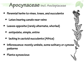 Apoc02.png