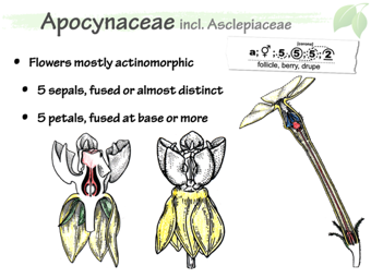 Apoc03.png