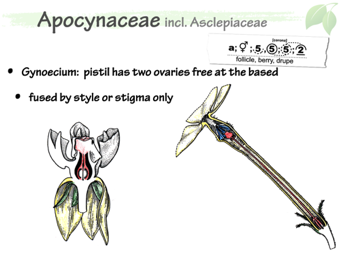 Apoc05.png