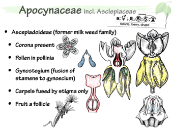 Apoc06.png