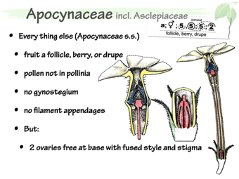 Apoc07.png
