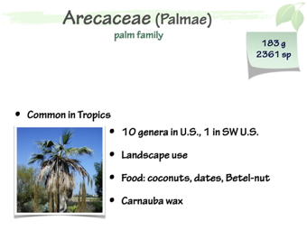 Arec01.png