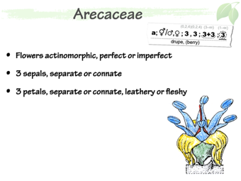 Arec03.png