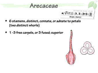 Arec04.png