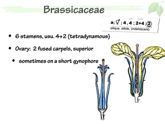 Brass05.png