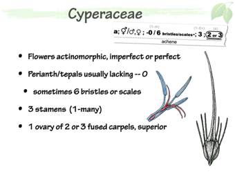 Cyper04.png