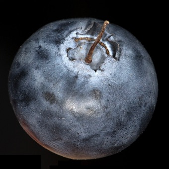 Blueberry - from an inferior ovary; the 'crown' are the sepals