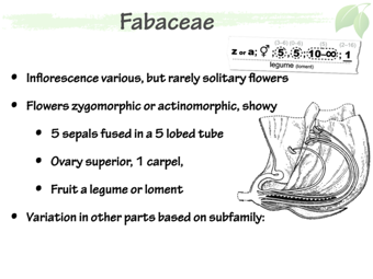 Fab04.png