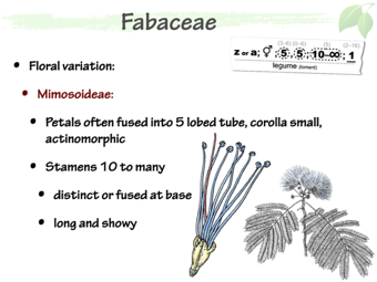 Fab07.png