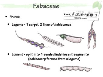 Fab08.png