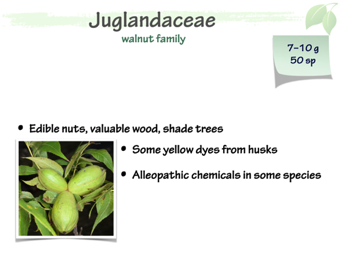 Jugland01.png