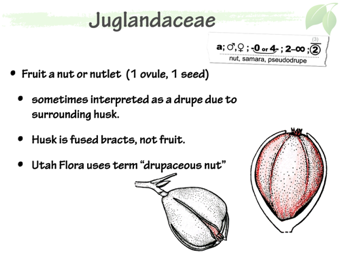 Jugland05.png