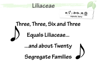 Lili09.png