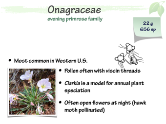Onag01.png