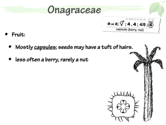 Onag04.png