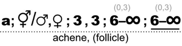 FF17_Alismataceae