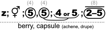 FF17_Caprifoliaceae