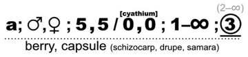 FF17_Euphorbiaceae