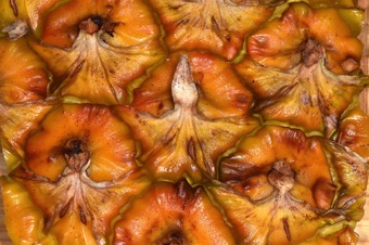 Multiple Fruit are formed from the ovaries of multiple flowers. Each pineapple flower is subtended by a bract, which covers the scar from where the perianth was attached.