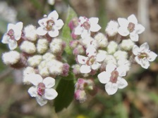 b430_021nn.jpg
