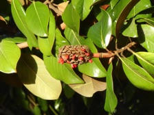 b430_029nn.jpg