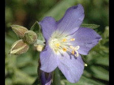 b430_034nn.jpg