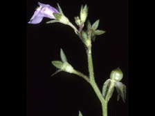 b430_074nn.jpg