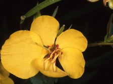 b430_081nn.jpg