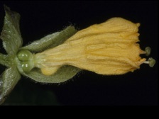b430_101nn.jpg