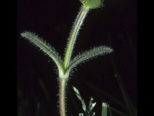 b430_109nn.jpg