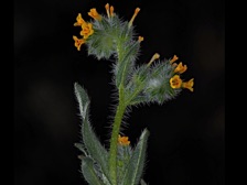 b430_111nn.jpg